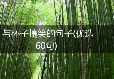 与杯子搞笑的句子(优选60句)
