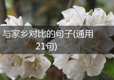 与家乡对比的句子(通用21句)