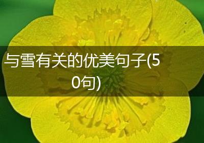 与雪有关的优美句子(50句)