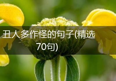 丑人多作怪的句子(精选70句)