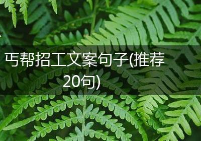 丐帮招工文案句子(推荐20句)