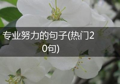 专业努力的句子(热门20句)