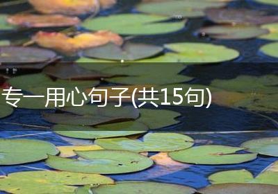 专一用心句子(共15句)