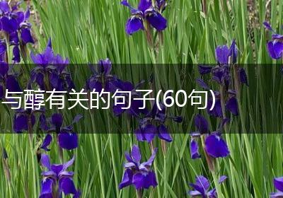 与醇有关的句子(60句)