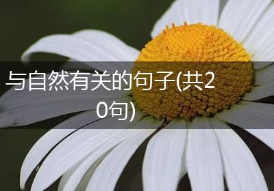 与自然有关的句子(共20句)