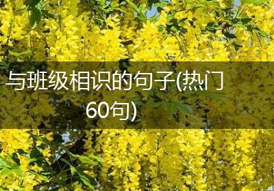 与班级相识的句子(热门60句)