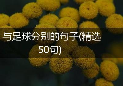 与足球分别的句子(精选50句)