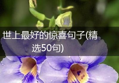世上最好的惊喜句子(精选50句)
