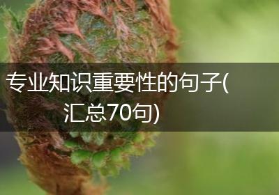 专业知识重要性的句子(汇总70句)