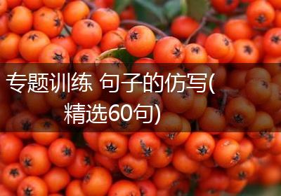 专题训练 句子的仿写(精选60句)