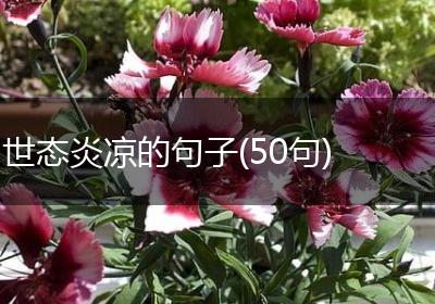 世态炎凉的句子(50句)