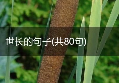 世长的句子(共80句)