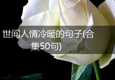 世间人情冷暖的句子(合集50句)