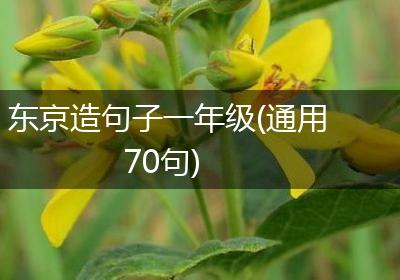 东京造句子一年级(通用70句)