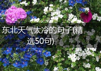 东北天气太冷的句子(精选50句)