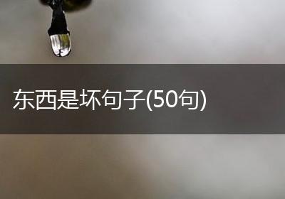 东西是坏句子(50句)
