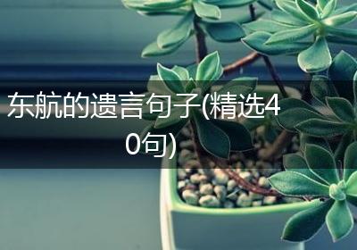 东航的遗言句子(精选40句)