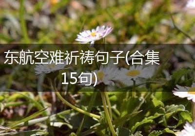 东航空难祈祷句子(合集15句)