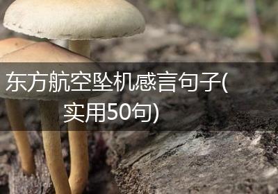东方航空坠机感言句子(实用50句)