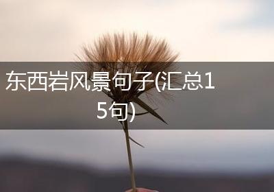 东西岩风景句子(汇总15句)