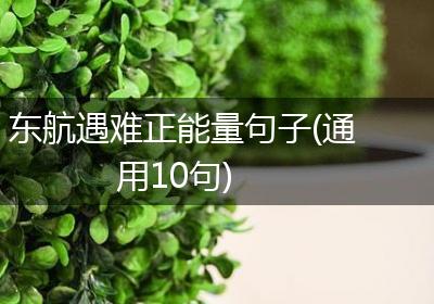 东航遇难正能量句子(通用10句)