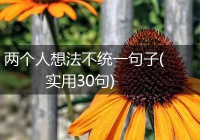 两个人想法不统一句子(实用30句)