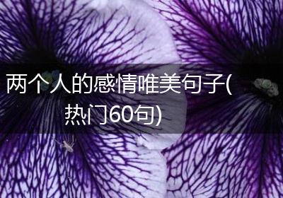 两个人的感情唯美句子(热门60句)