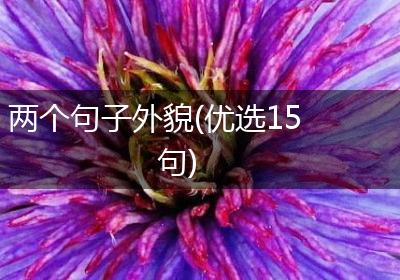 两个句子外貌(优选15句)