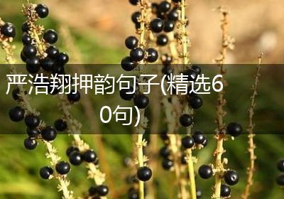 严浩翔押韵句子(精选60句)