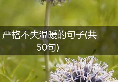 严格不失温暖的句子(共50句)