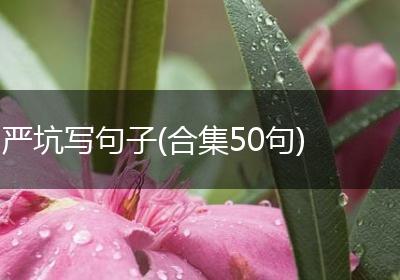 严坑写句子(合集50句)
