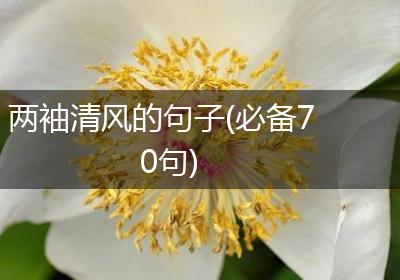 两袖清风的句子(必备70句)