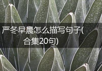 严冬早晨怎么描写句子(合集20句)