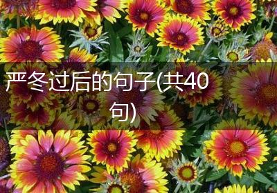 严冬过后的句子(共40句)