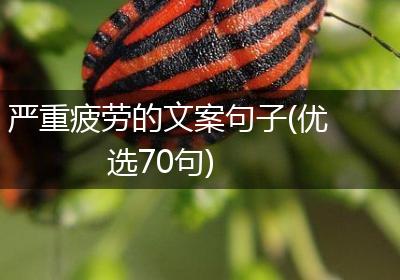 严重疲劳的文案句子(优选70句)