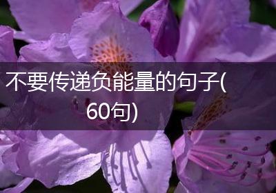 不要传递负能量的句子(60句)