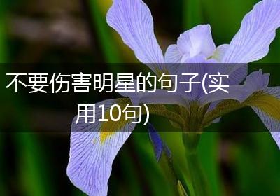 不要伤害明星的句子(实用10句)