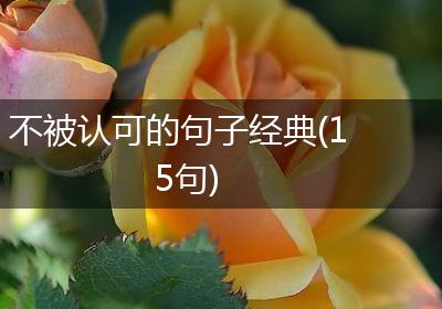 不被认可的句子经典(15句)