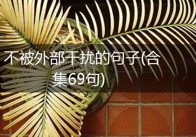不被外部干扰的句子(合集69句)