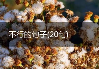 不行的句子(20句)