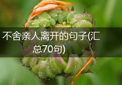不舍亲人离开的句子(汇总70句)