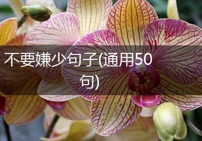 不要嫌少句子(通用50句)