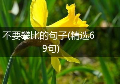 不要攀比的句子(精选69句)