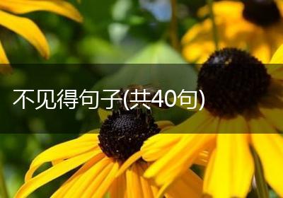 不见得句子(共40句)