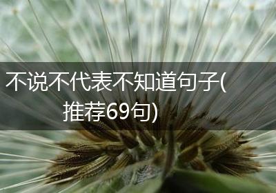 不说不代表不知道句子(推荐69句)