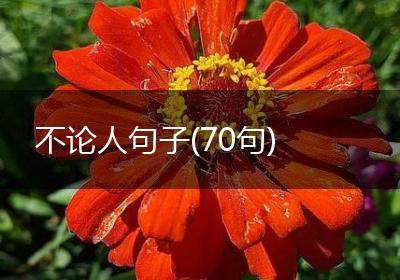 不论人句子(70句)