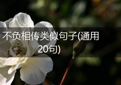 不负相传类似句子(通用20句)