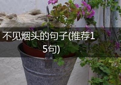 不见烟头的句子(推荐15句)