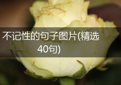 不记性的句子图片(精选40句)