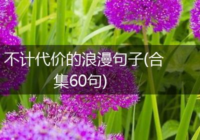 不计代价的浪漫句子(合集60句)